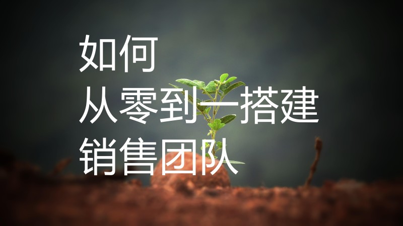 构建成功门户的全面指南,门户发展图,用户体验,PHP,第1张