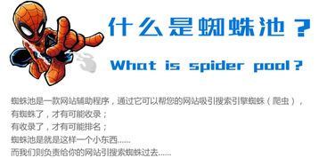 百度蜘蛛池优化：建蜘蛛池需要什么，揭秘蜘蛛池搭建的必备要素