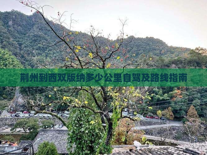 荆州到西双版纳多少公里自驾及路线指南