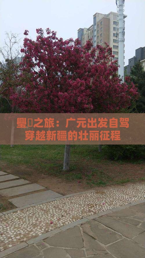璺之旅：广元出发自驾穿越新疆的壮丽征程