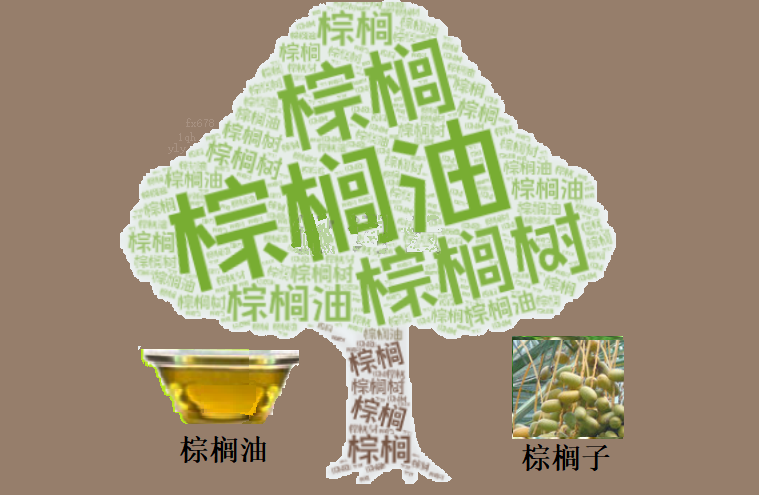 技术面分析：支撑位测试与反弹阻力