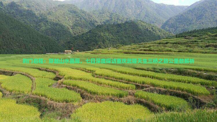 荆门启程：穿越山水画廊，七日深度探访重庆武隆天生三桥之旅公里数解析
