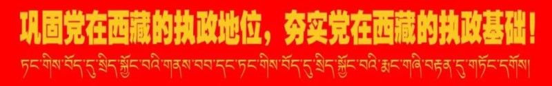 明起生效！西藏各地油价将调整