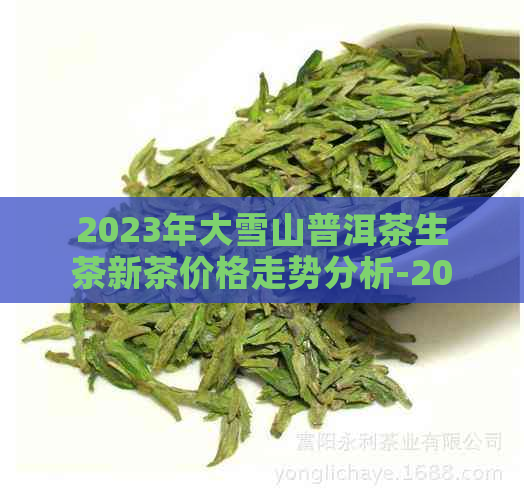 2023年大雪山普洱茶生茶新茶价格走势分析-2020年大雪山普洱茶价格
