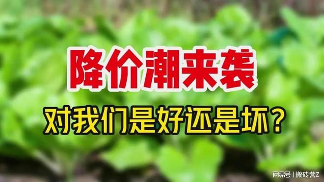 2025年四大降价潮来袭，你准备好了吗？