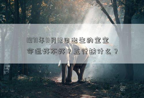 1971年11月12日出生的宝宝命运好不好？五行缺什么？