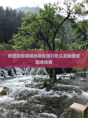 鹤壁到新疆喀纳斯自由行怎么走最便捷路线指南