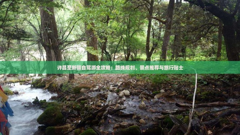 许昌至新疆自驾游全攻略：路线规划、景点推荐与旅行贴士
