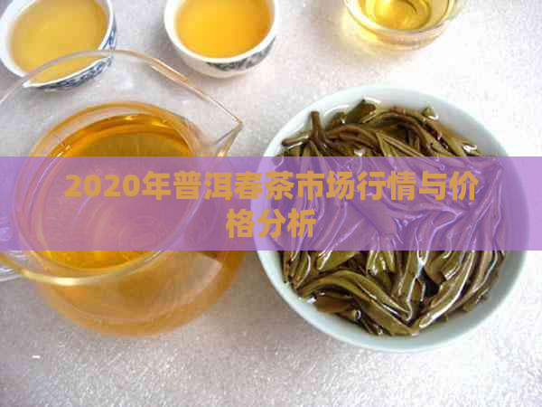 2020年普洱春茶市场行情与价格分析