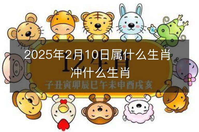 2025年2月10日属什么生肖 冲什么生肖