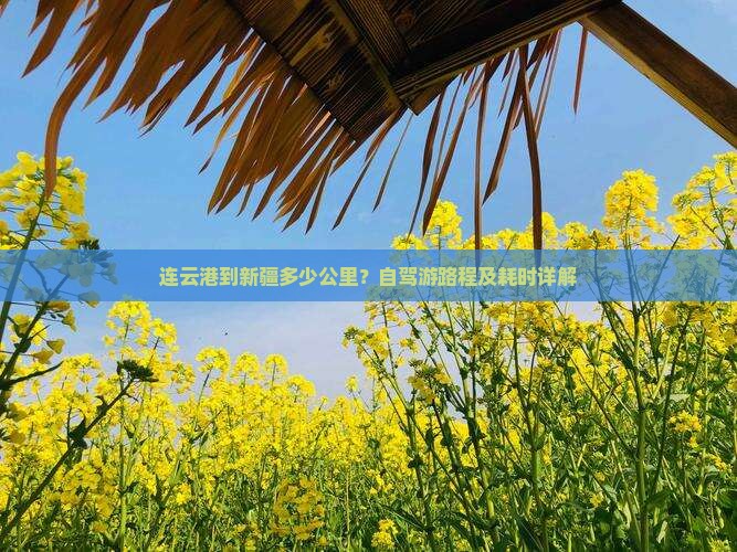 连云港到新疆多少公里？自驾游路程及耗时详解