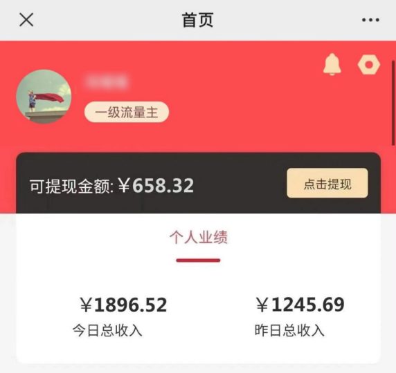 这个项目不会卷，一天小赚1000+，带队实战