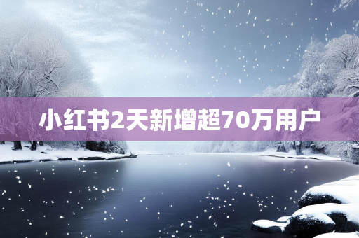 小红书2天新增超70万用户