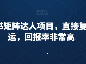 新手必看的小红书八大运营指南，全方位提升你的运营能力
