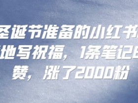 小红书矩阵推广怎么玩，高效引流创业粉的技巧深度剖析