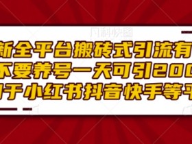 小红书矩阵推广怎么玩，高效引流创业粉的技巧深度剖析