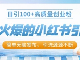 小红书矩阵推广怎么玩，高效引流创业粉的技巧深度剖析