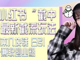 小红书矩阵推广怎么玩，高效引流创业粉的技巧深度剖析