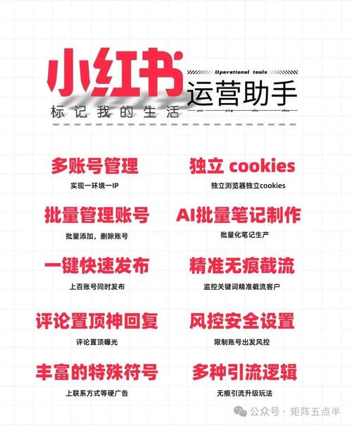 如何加入小红书团队合作