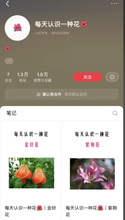 小红书业务网站是什么_小红书业务网站_小红书业务网站平台