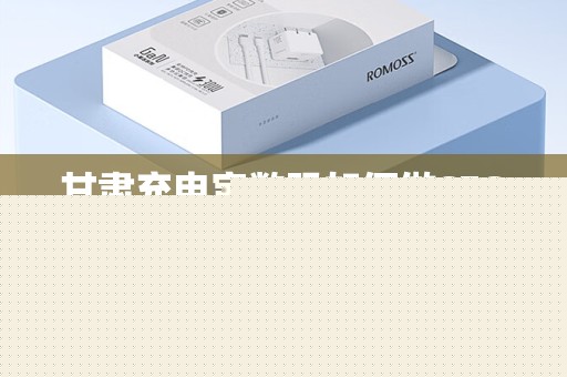 甘肃充电宝数码如何做SEO