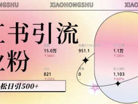 小红书矩阵引流靠谱吗，日引流量500+的真实案例揭秘