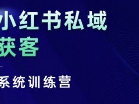 小红书矩阵引流靠谱吗，日引流量500+的真实案例揭秘