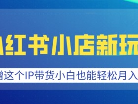 小红书矩阵引流靠谱吗，日引流量500+的真实案例揭秘