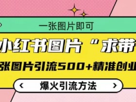小红书矩阵引流靠谱吗，日引流量500+的真实案例揭秘