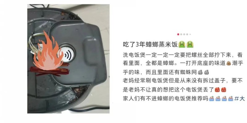 图片来源:小红书