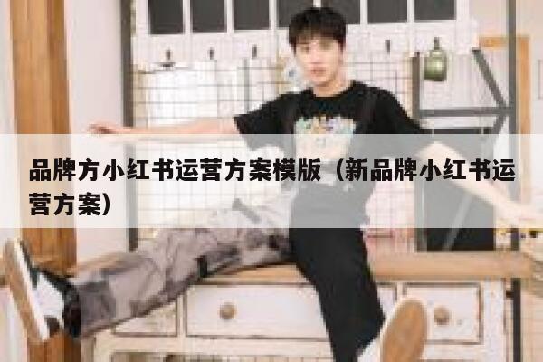 品牌方小红书运营方案模版（新品牌小红书运营方案）
