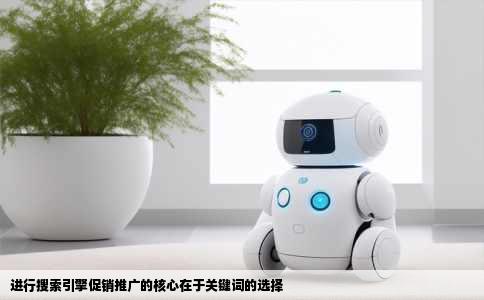 进行搜索引擎促销推广的核心在于关键词的选择