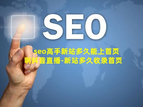 seo高手新站多久能上首页啊抖音直播-新站多久收录首页