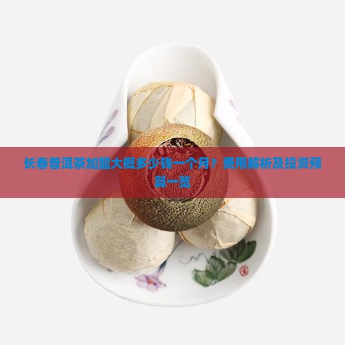 长春普洱茶加盟大概多少钱一个月？费用解析及投资预算一览