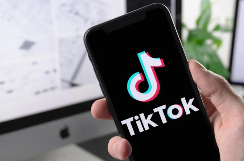 TikTok“复活”,小红书“难民”的未来在哪?插图3 TikTok“复活”,小红书“难民”的未来在哪?插图3