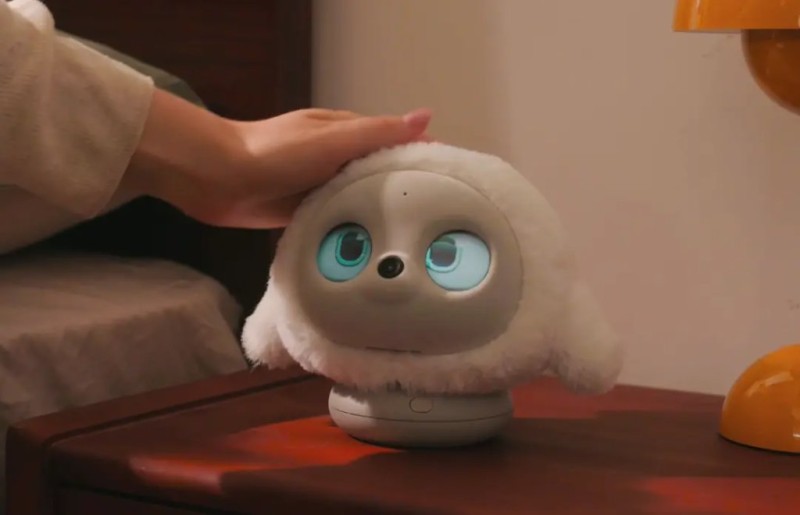 图源:Ropet官网