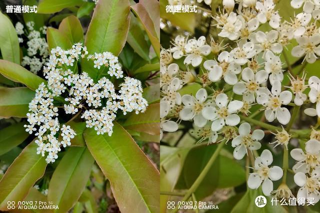 要优雅更要实力！华为nova7 Pro全方位体验，Vlog时代“全能王”
