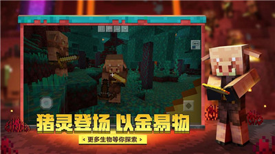 我的世界Java手机版