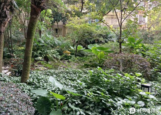 天玑800性能怎么样？荣耀X10 Max告诉你答案
