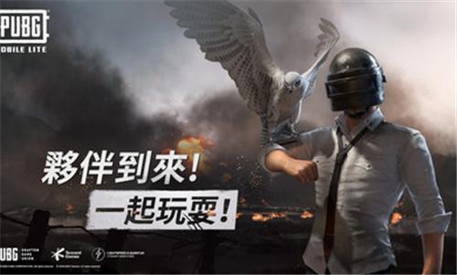 pubglite绝地求生手机版「pubglite」