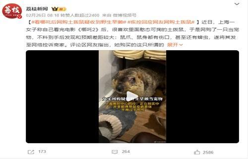 警惕土拨鼠宠物热潮背后风险