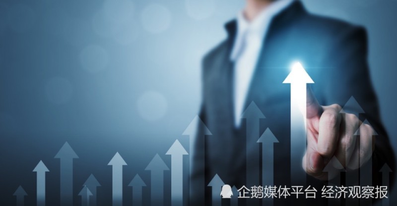 组织进化的密码：从告别“机械集权”开始 ｜ 人力资本论