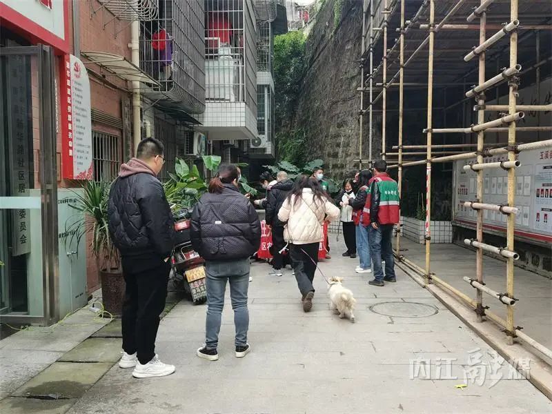 告内江养犬市民：一条狗，3分钟！