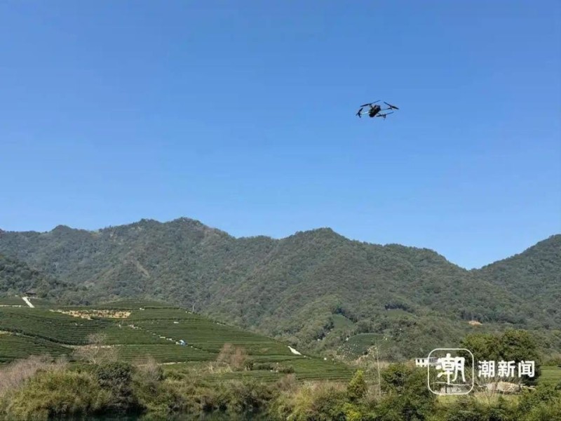 潮评丨“赛博采茶”茶亦香