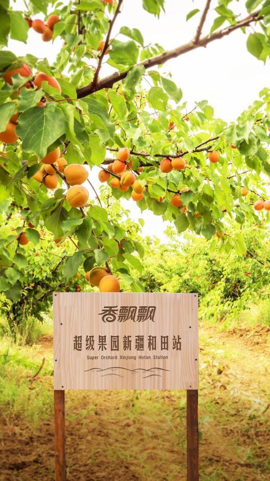 奶茶“鼻祖”香飘飘巡店到了成都春熙路：新推果茶低至7元，还有这些福利……