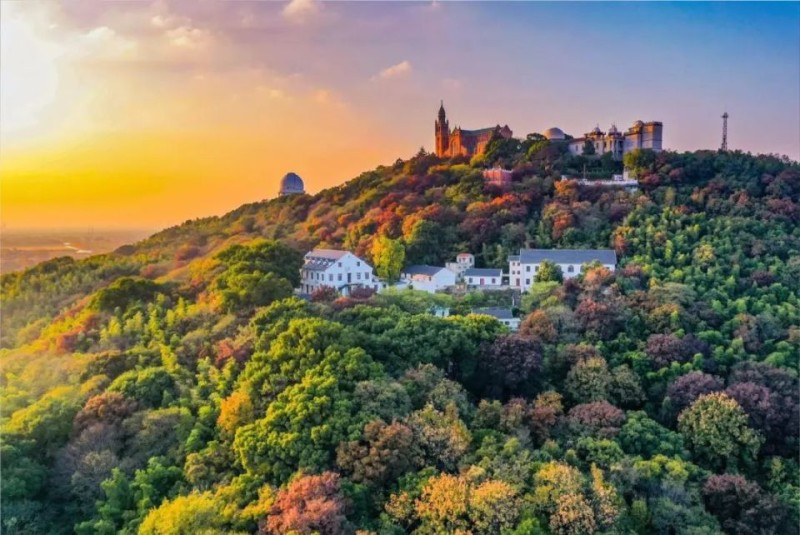佘山度假区推出入境游政策，热门景区免票+高端酒店套餐解锁花式春日体验