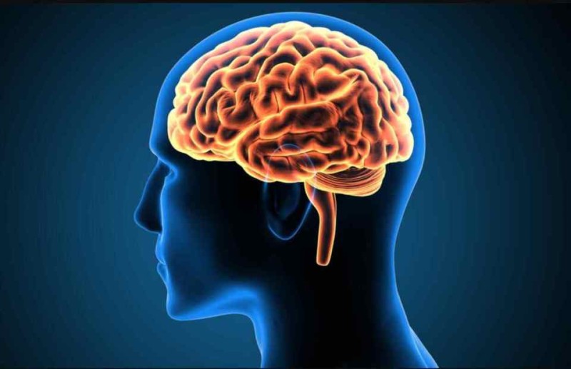 最新研究：人类智力似乎正在走下坡路，但不用悲观