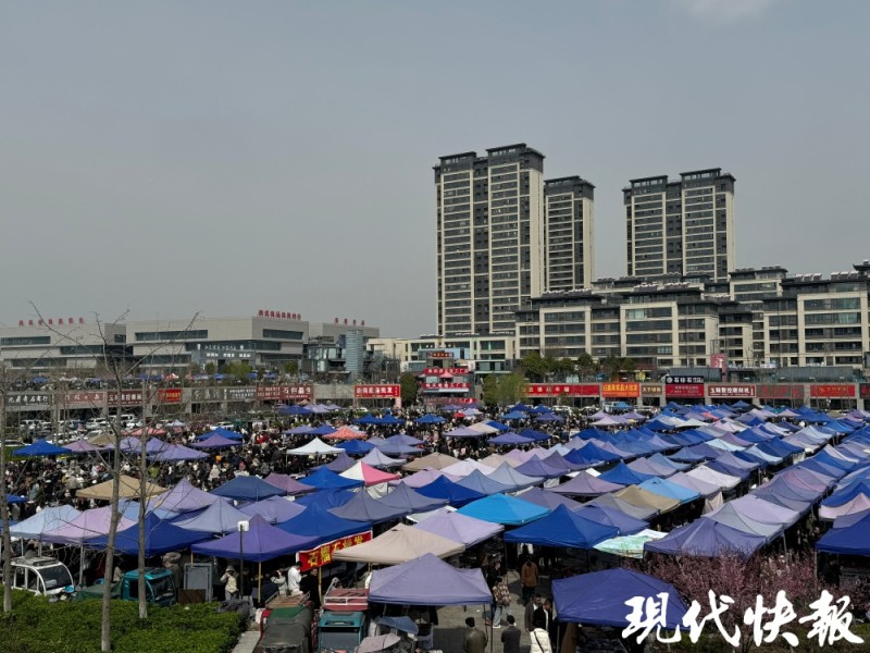 江苏东海水晶大集火了，有摊主一天卖出10万元