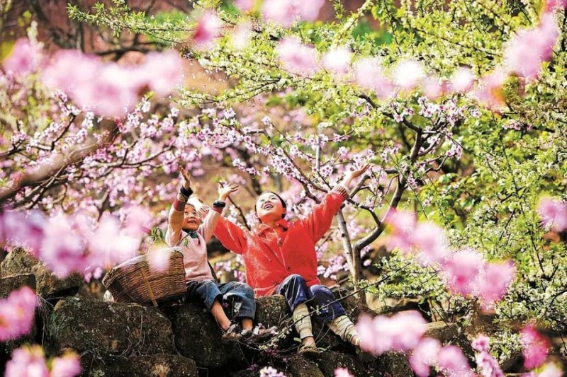 【美丽四川】踏青季 赏花时 桃红又是一年春‖温月