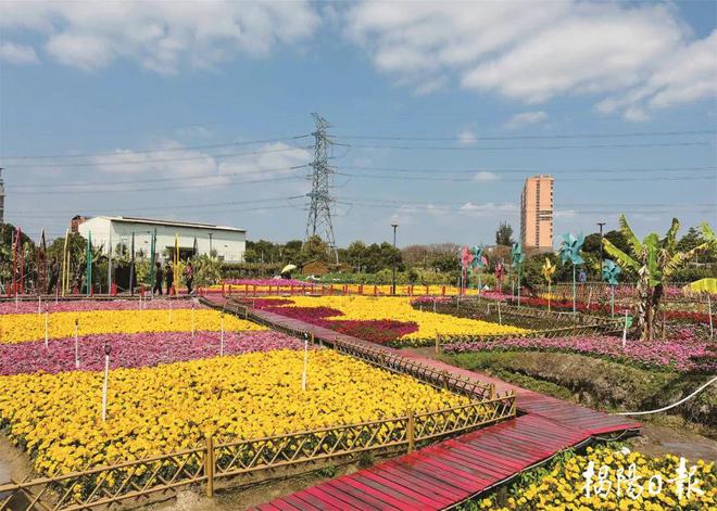大坝镇马厝宅村：苦干实干促进乡村全面振兴